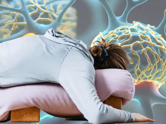 Mindful Movement: Exploring and Understanding Neuroplasticity in Yin Yoga